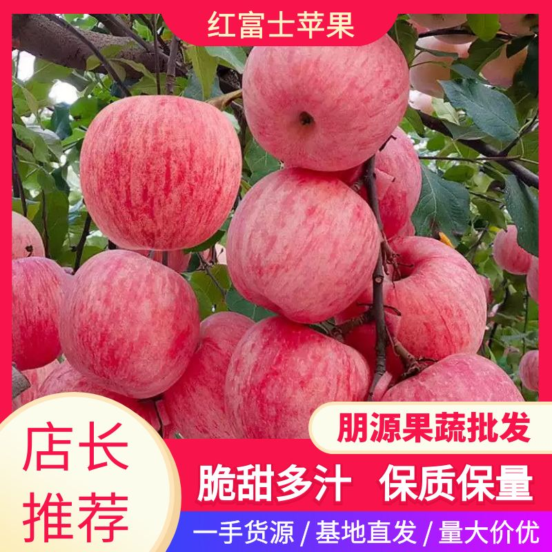 【产地直发】红富士苹果75mm以上脆甜可口全部手选