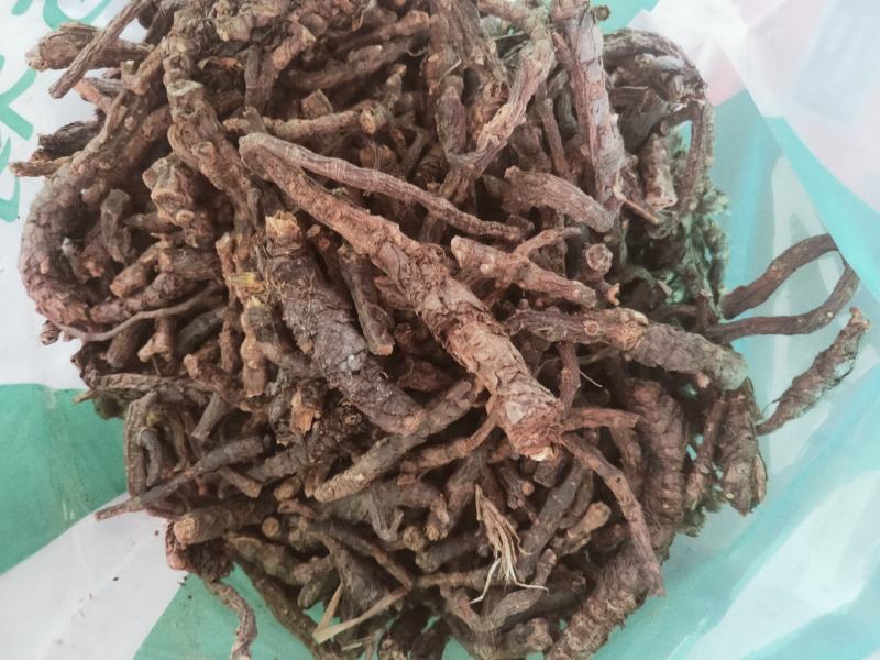 家种胡黄连产地直发纯干无硫货质量保证欢迎下单