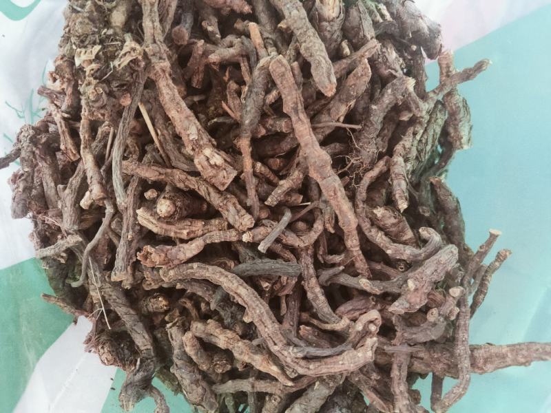 家种胡黄连产地直发纯干无硫货质量保证欢迎下单