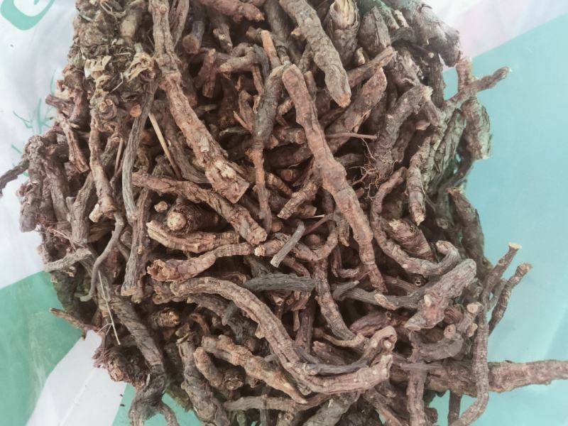 家种胡黄连产地直发纯干无硫货质量保证欢迎下单