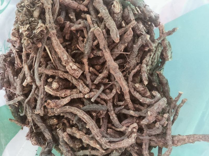家种胡黄连产地直发纯干无硫货质量保证欢迎下单