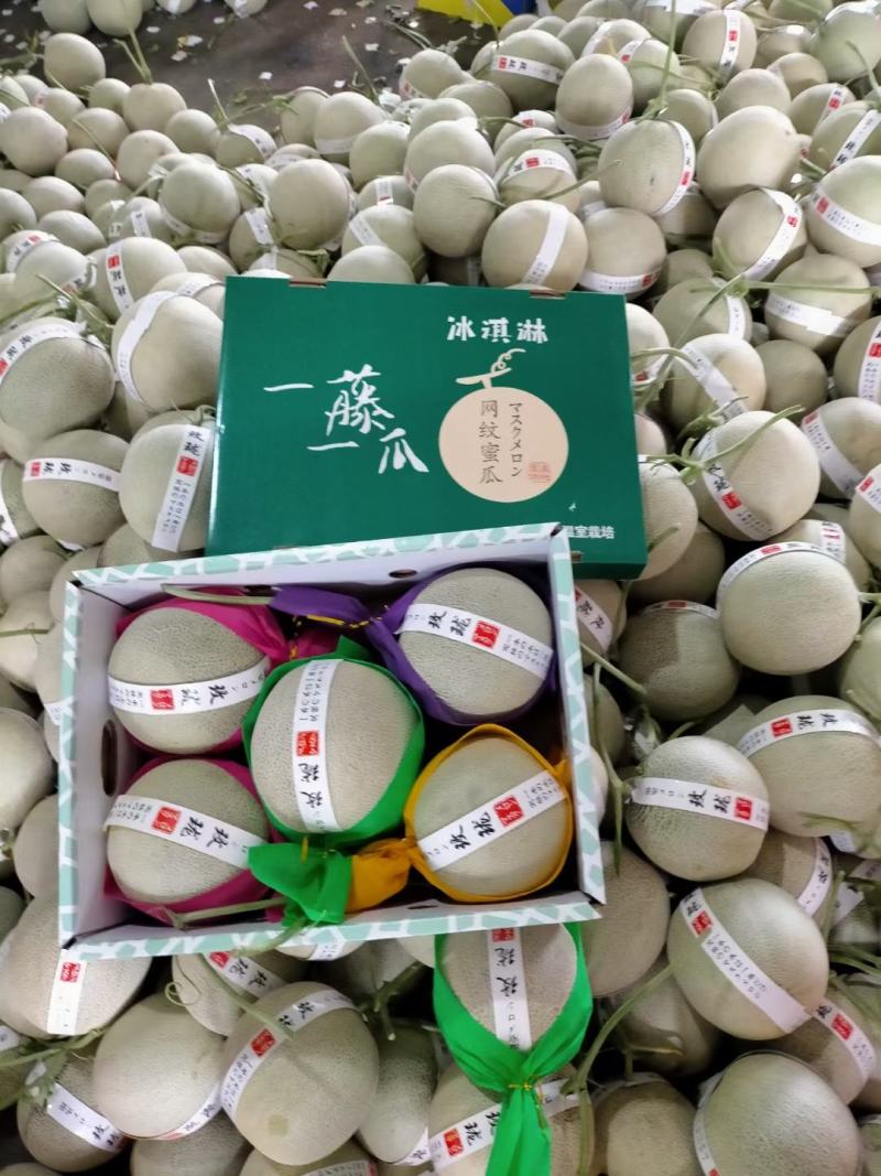 网纹瓜甜瓜万亩产地大量上市，对接各大市场，电商，超市