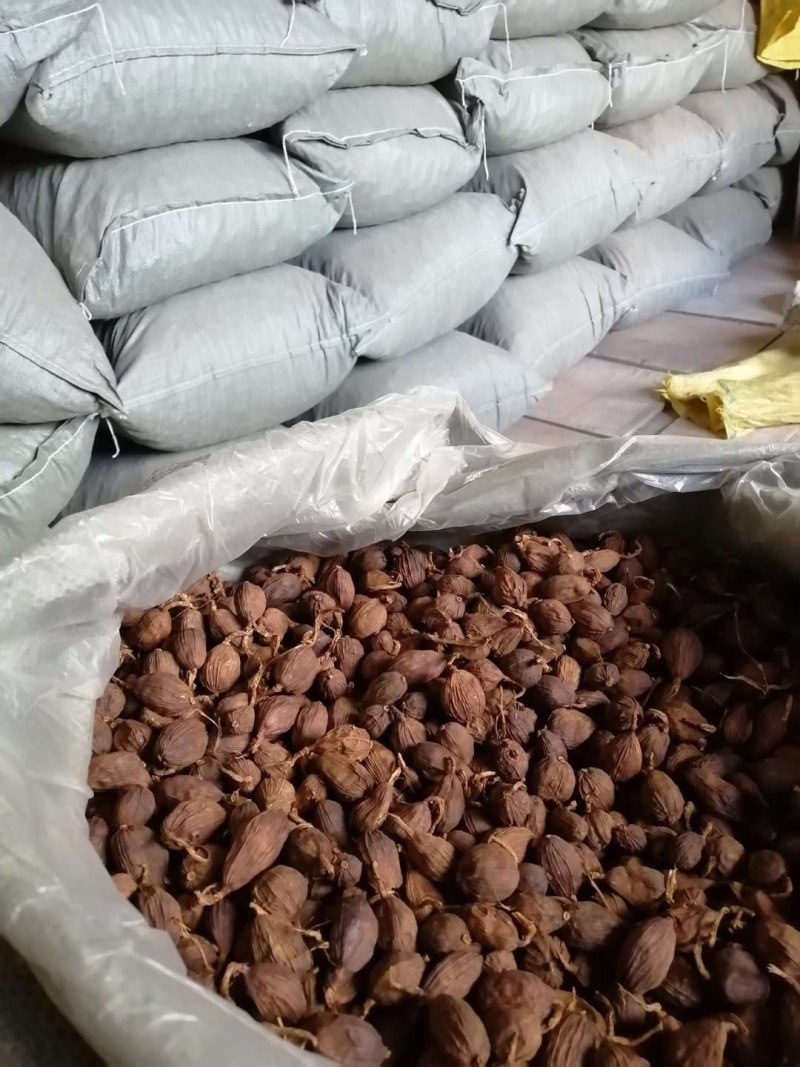 云南怒江草果干货