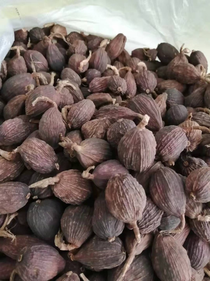 云南怒江草果干货