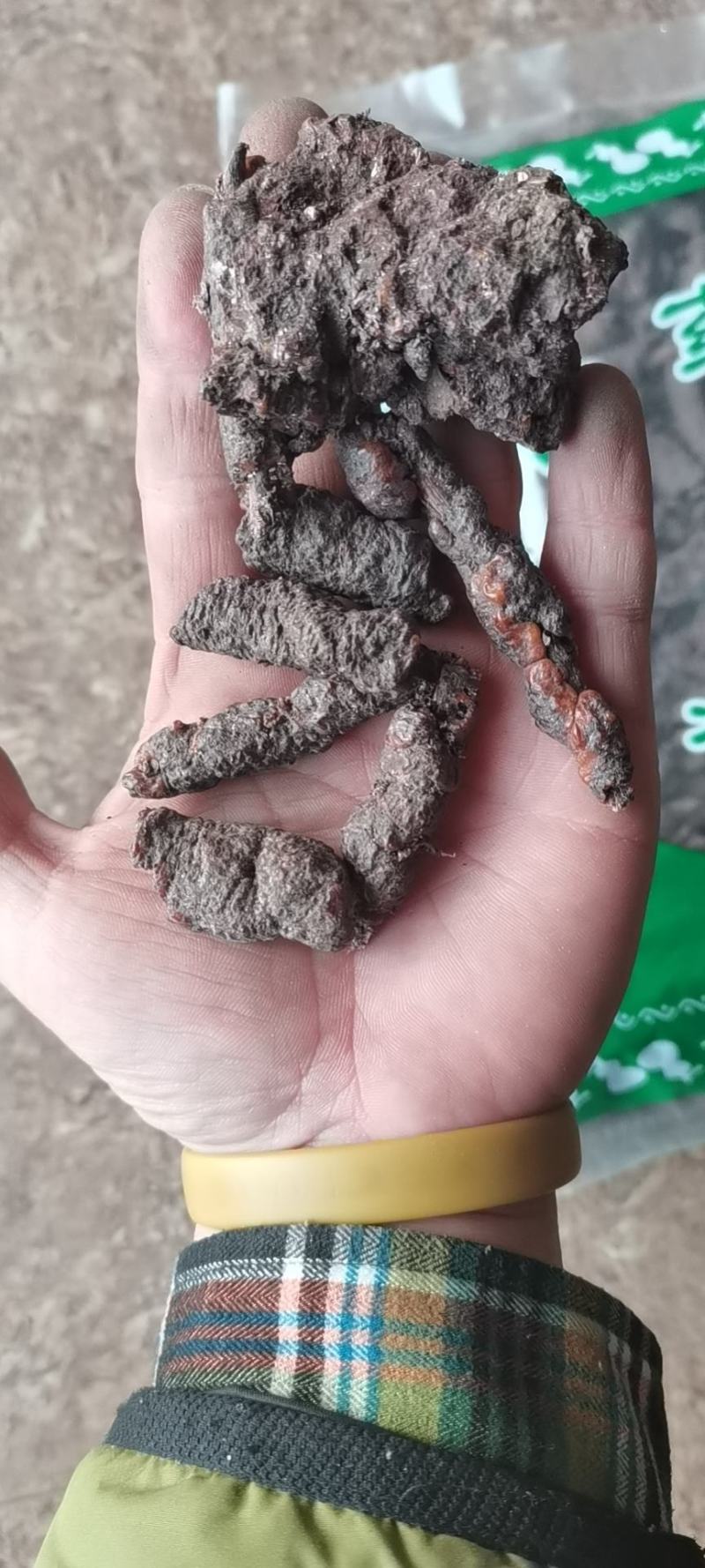紫草茸赤胶紫胶虫胶中药材批发无硫药材