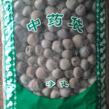 大托叶云实云实子药王子朝天子冷背药材齐全