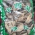 商陆商路土人参野萝卜冷背货齐全不满意可退换货