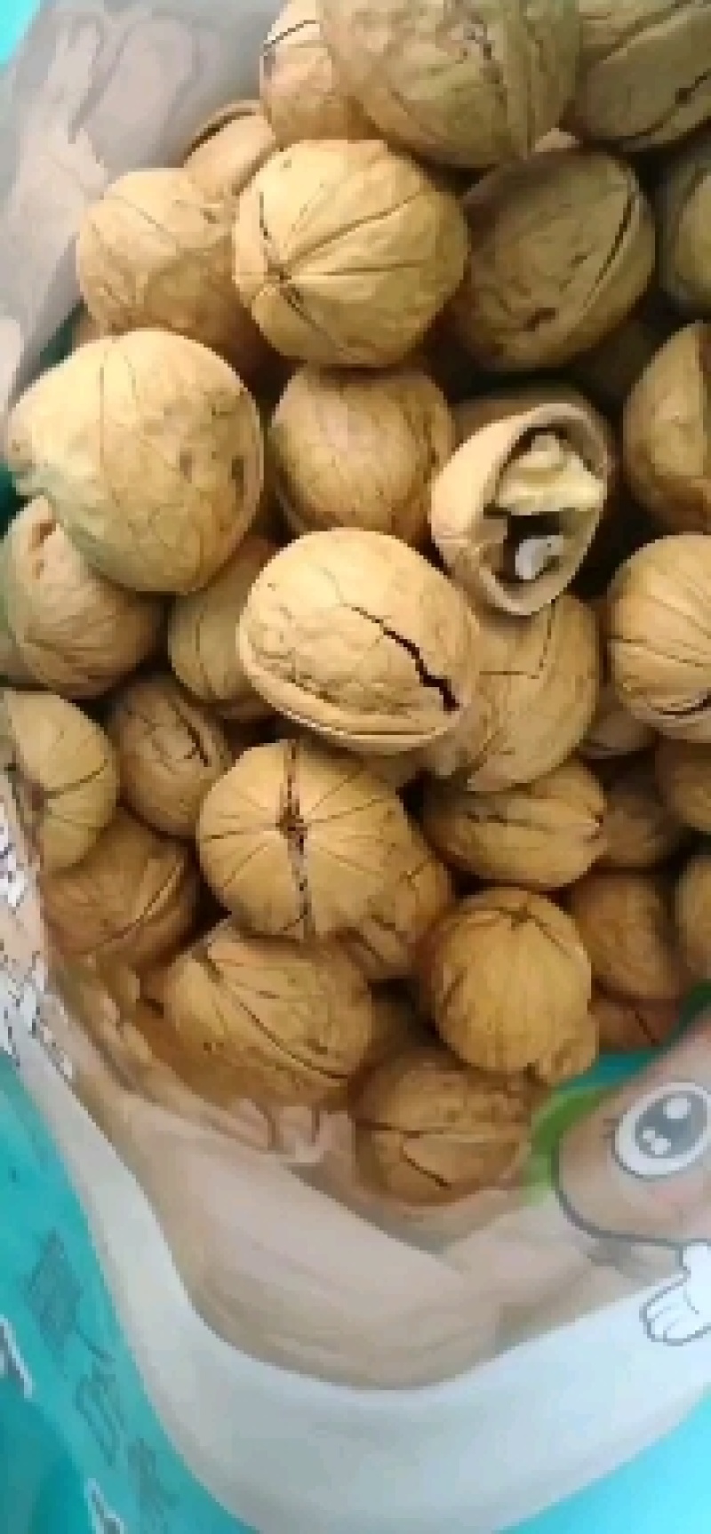 网红产品炒核桃好产品经久不衰支持一件代发，支持线上线下发