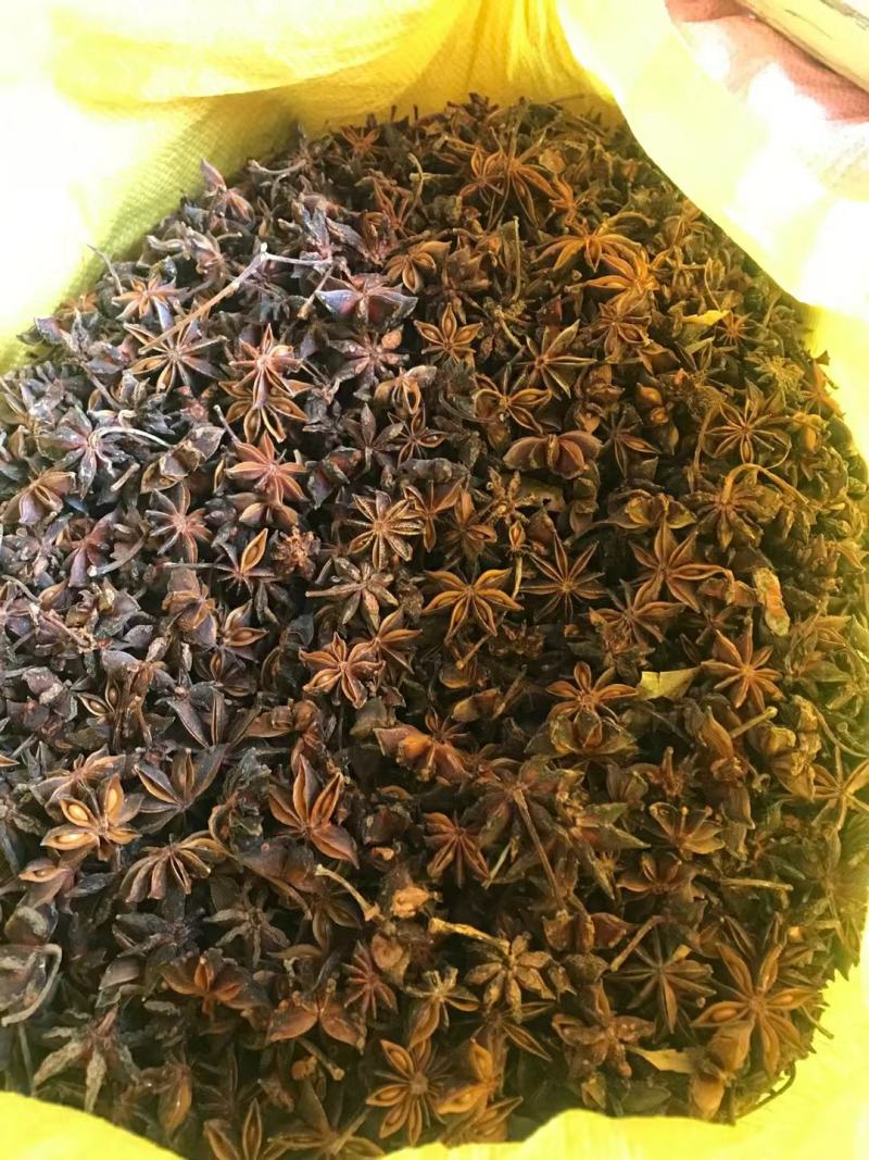 广西无硫水烫大红果，秋果上新