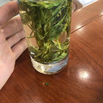 龙井茶浙江龙井茶绿茶2023年新茶