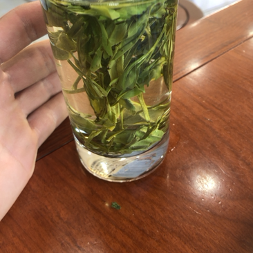 龙井茶浙江龙井茶绿茶2023年新茶