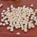 浙贝母包邮浙贝母新货贝母浙贝多种规格500克大份量批