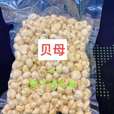 浙贝母包邮浙贝母新货贝母浙贝多种规格500克大份量批