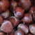 板栗🌰丹东板栗裂口板栗价格便宜质量好