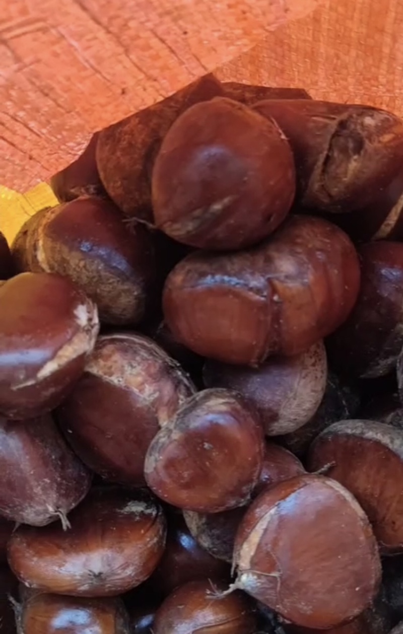 板栗🌰丹东板栗裂口板栗价格便宜质量好