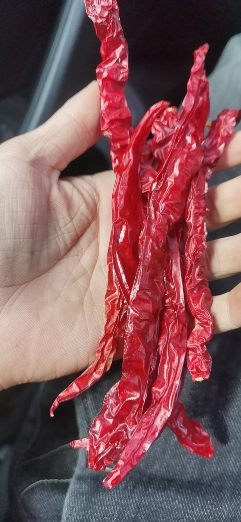 烘干去把去帽2021新苗二荆条