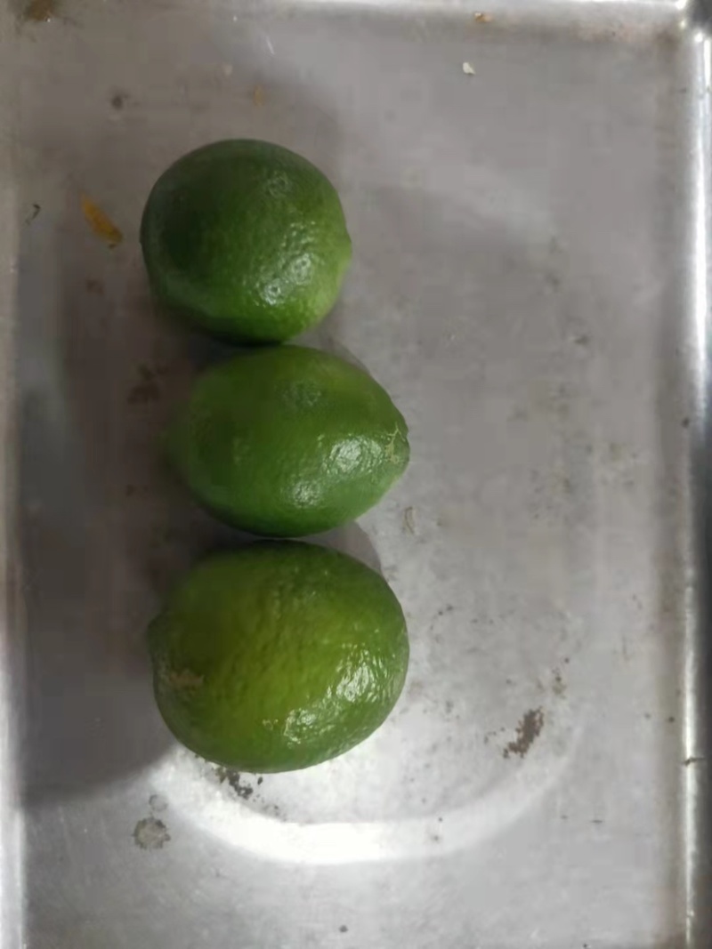 柠檬次果无籽青柠檬泰国柠檬塔希提柠檬越南青柠檬