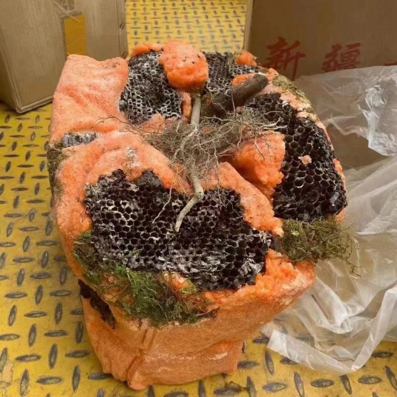 【岩石蜂蜜】野蜂蜜保质保量诚信经营可视频