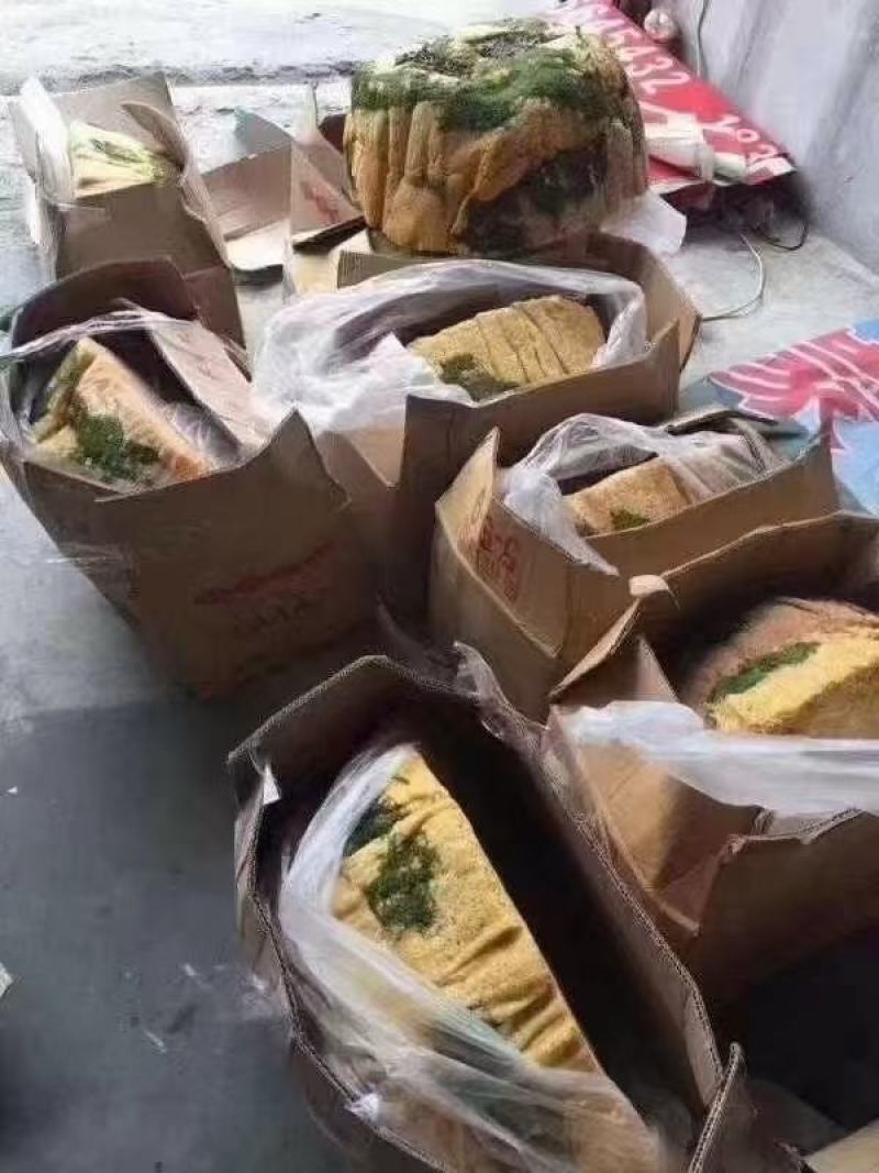 【岩石蜂蜜】野蜂蜜保质保量诚信经营可视频
