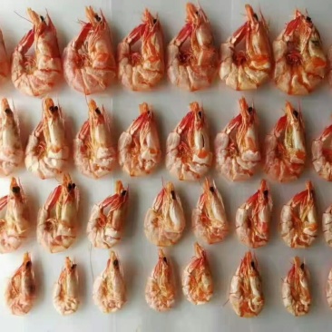 批发【本港虾干和虾皮】各级虾干整箱批发实惠价味道香美