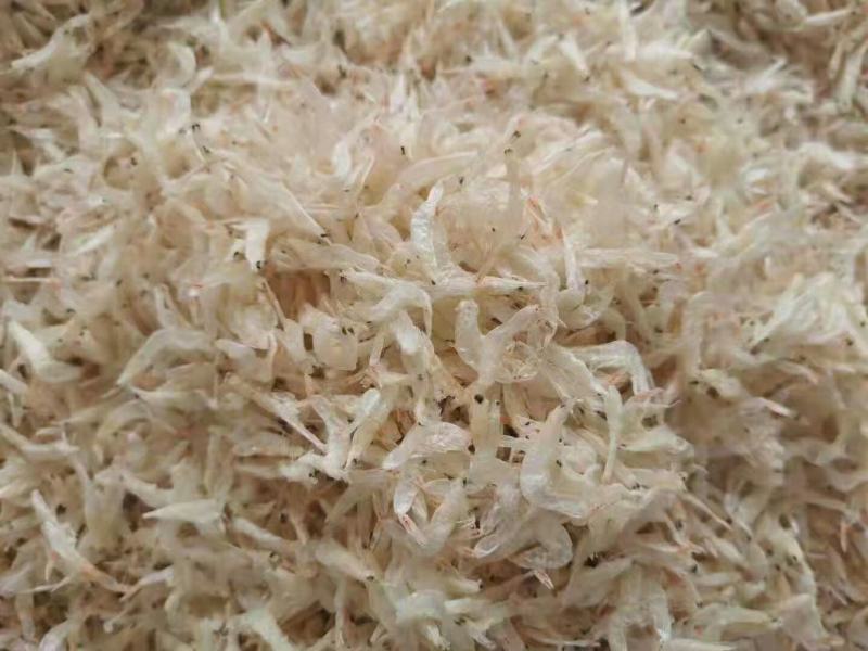 批发【本港虾干和虾皮】各级虾干整箱批发实惠价味道香美