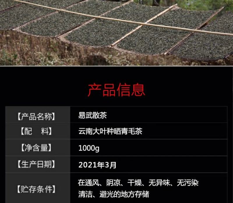 云南普洱茶生茶散茶易武古树春茶大份量1000g茶叶散装生