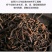 云南普洱茶熟茶陈皮龙珠勐海熟普古树普洱茶小沱茶250g茶