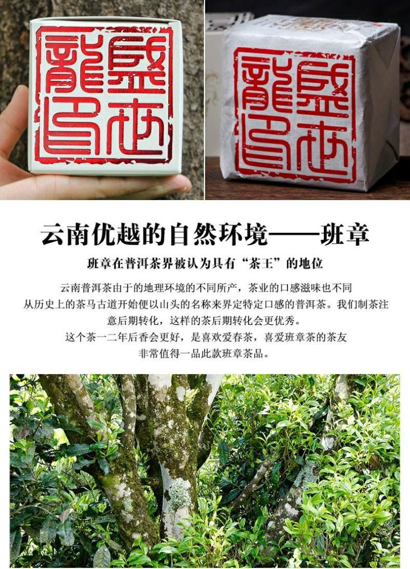 云南普洱茶生茶古树茶450g茶砖古树珍藏