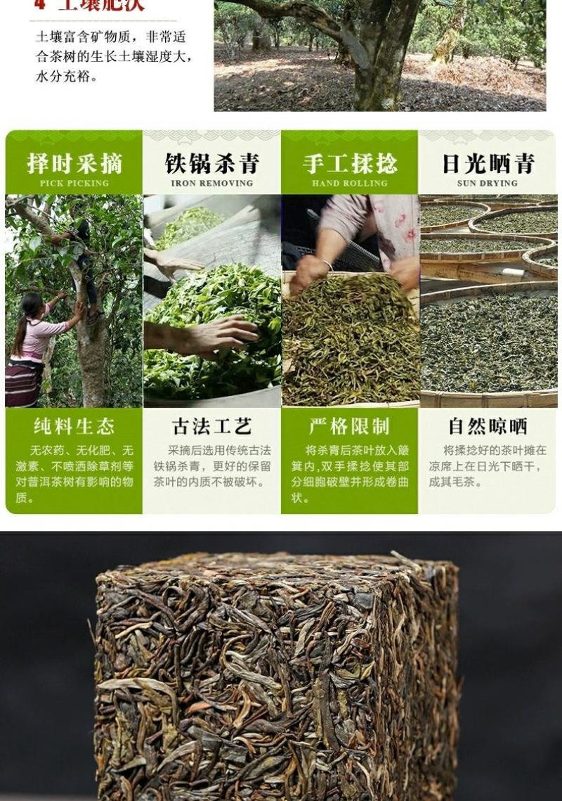 云南普洱茶生茶古树茶450g茶砖古树珍藏