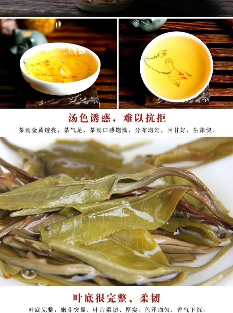 云南普洱茶生茶古树茶450g茶砖古树珍藏