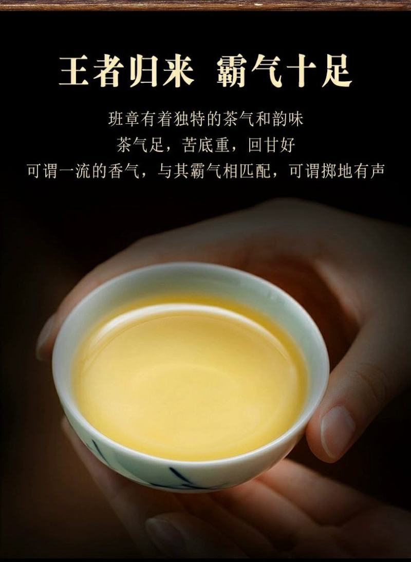 云南普洱茶生茶古树茶450g茶砖古树珍藏
