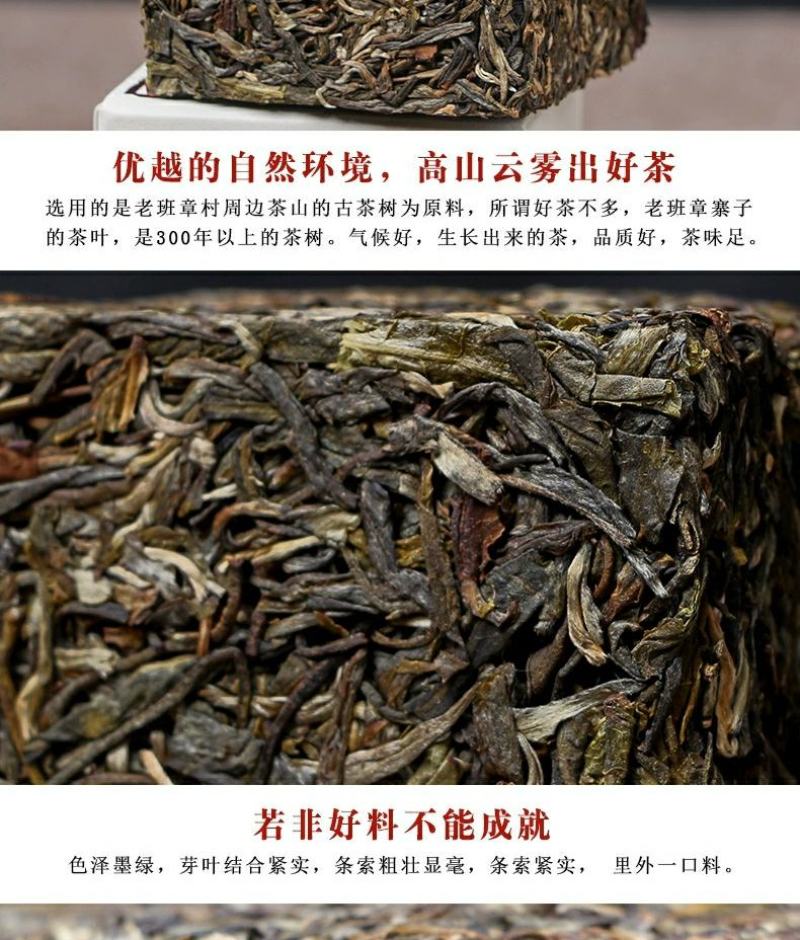 云南普洱茶生茶古树茶450g茶砖古树珍藏