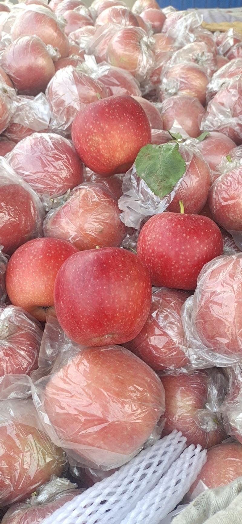 秀水苹果颜色全红口感纯甜货源充足交通方便