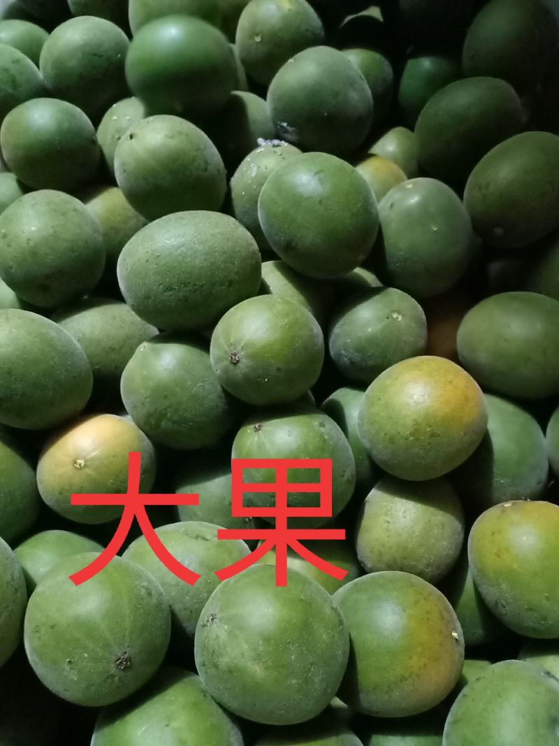 绿色食品罗汉果鲜果，直供生鲜超市