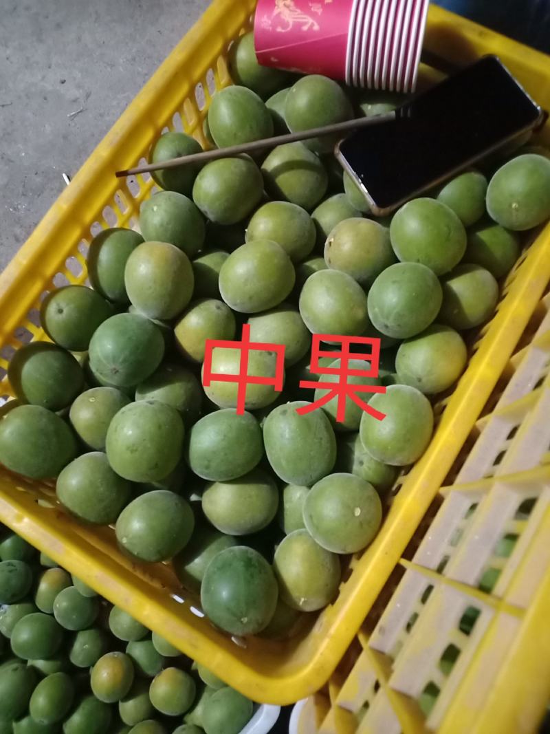绿色食品罗汉果鲜果，直供生鲜超市
