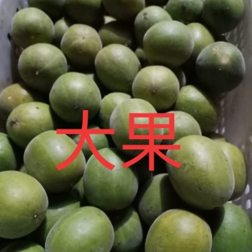 绿色食品罗汉果鲜果，直供生鲜超市