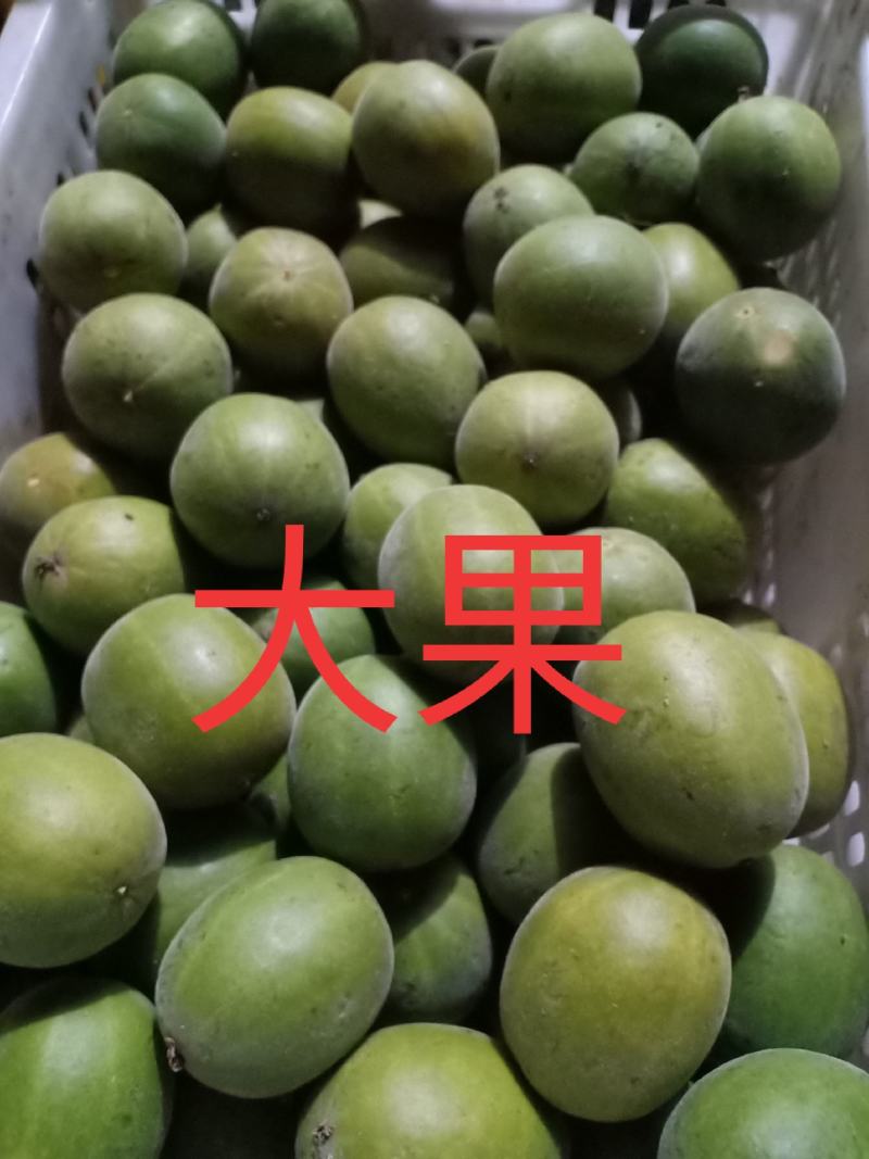 绿色食品罗汉果鲜果，直供生鲜超市