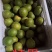 绿色食品罗汉果鲜果，直供生鲜超市