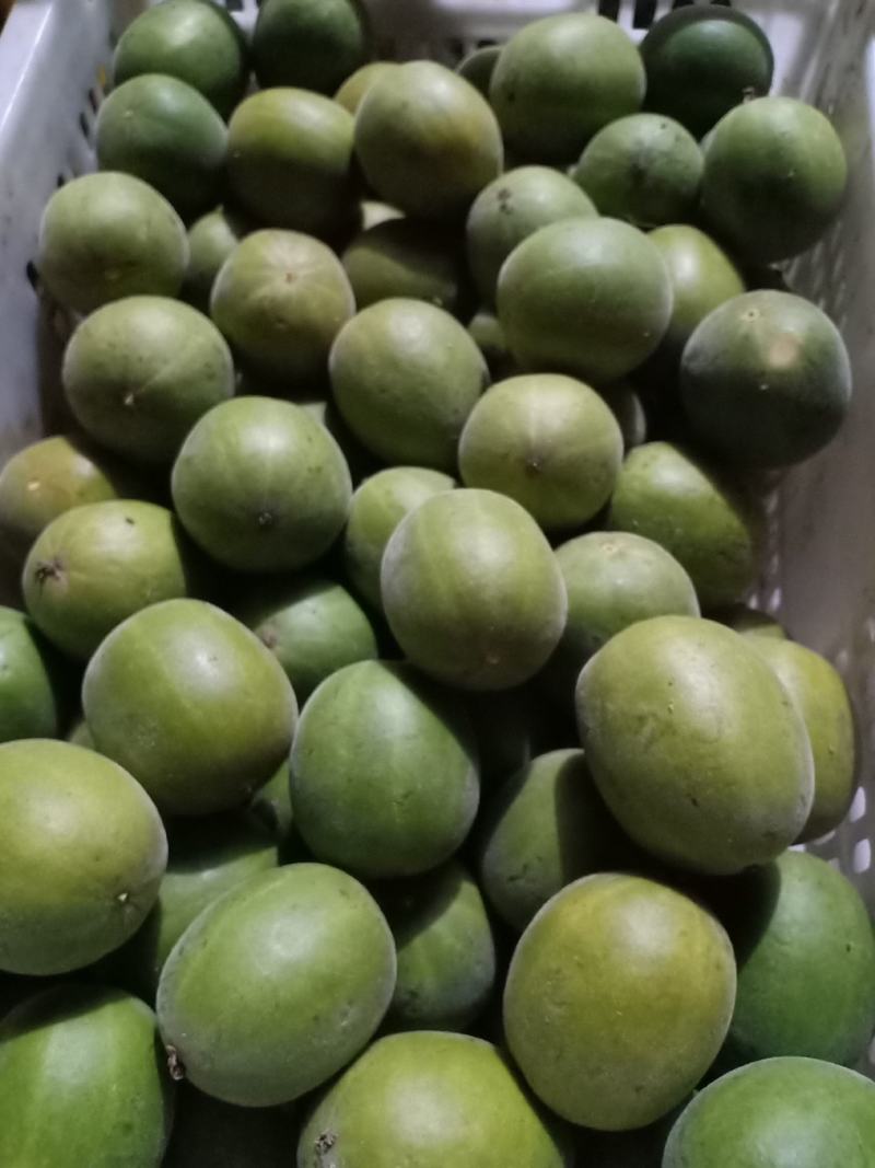 绿色食品罗汉果鲜果，直供生鲜超市