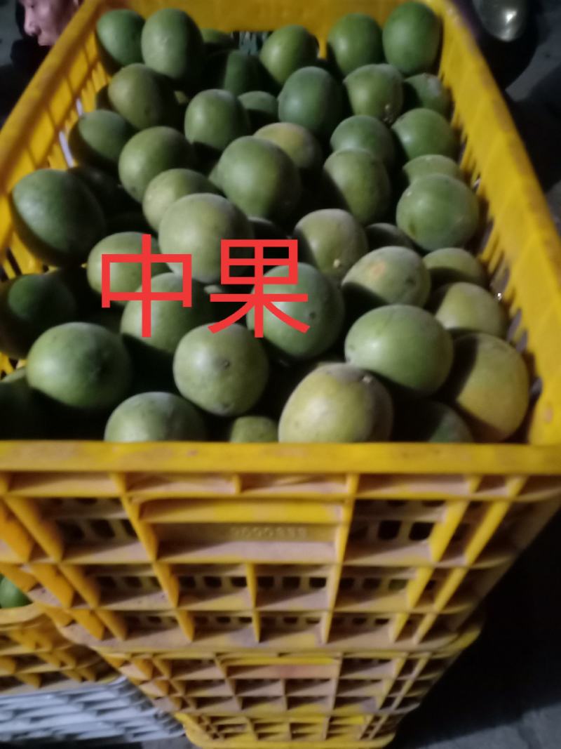 绿色食品罗汉果鲜果，直供生鲜超市