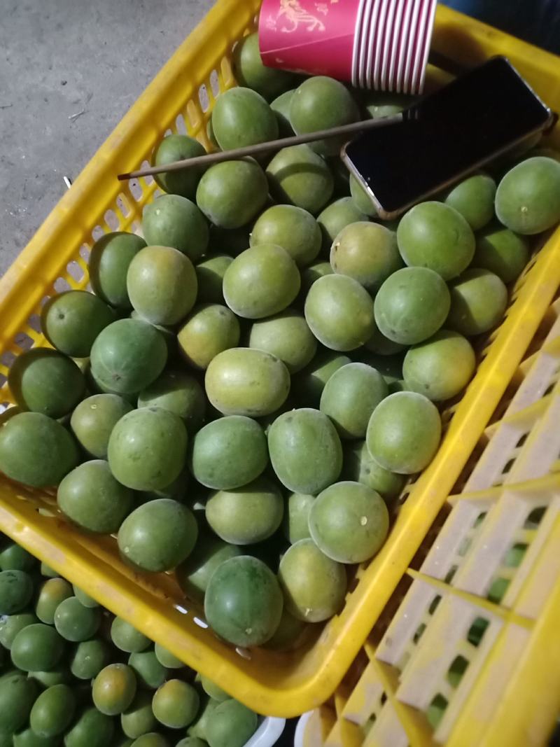 绿色食品罗汉果鲜果，直供生鲜超市