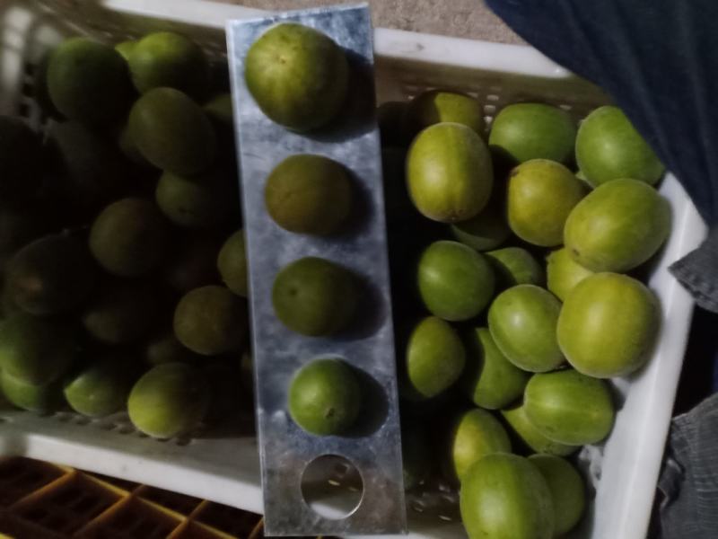 绿色食品罗汉果鲜果，直供生鲜超市