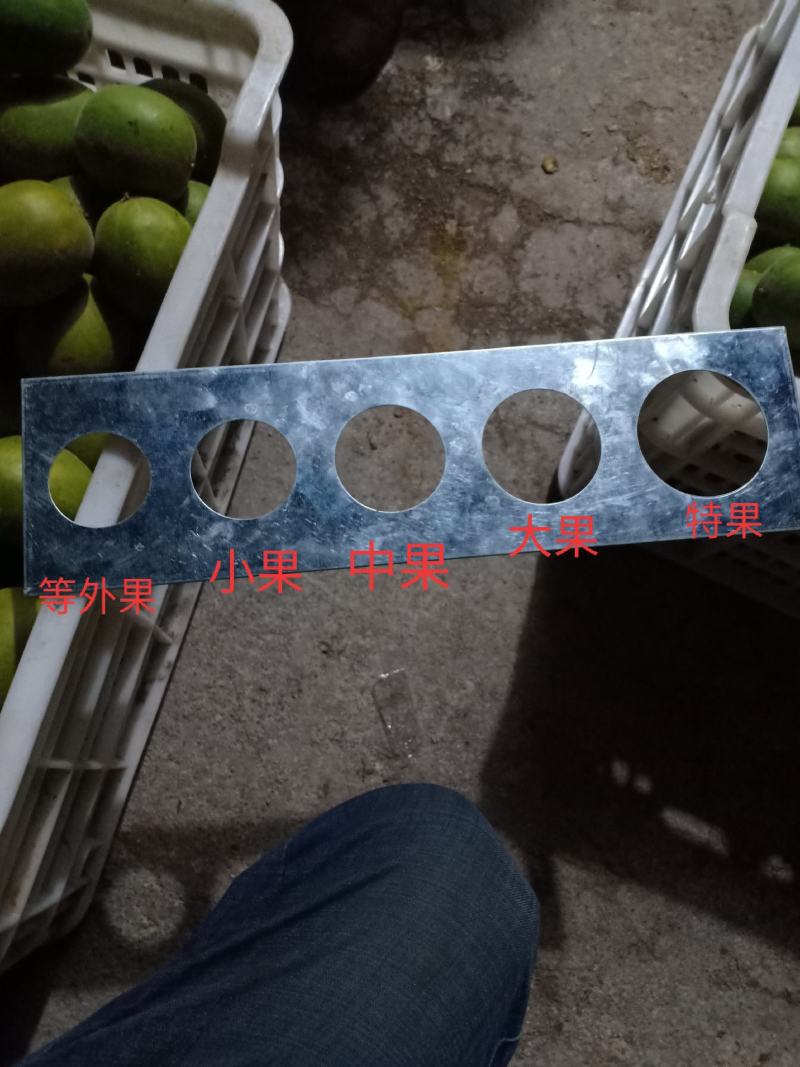 绿色食品罗汉果鲜果，直供生鲜超市