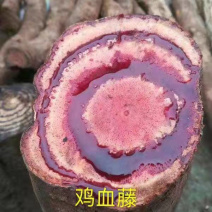 云南鸡血藤，新鲜，大条，肉红。血多。卖相好