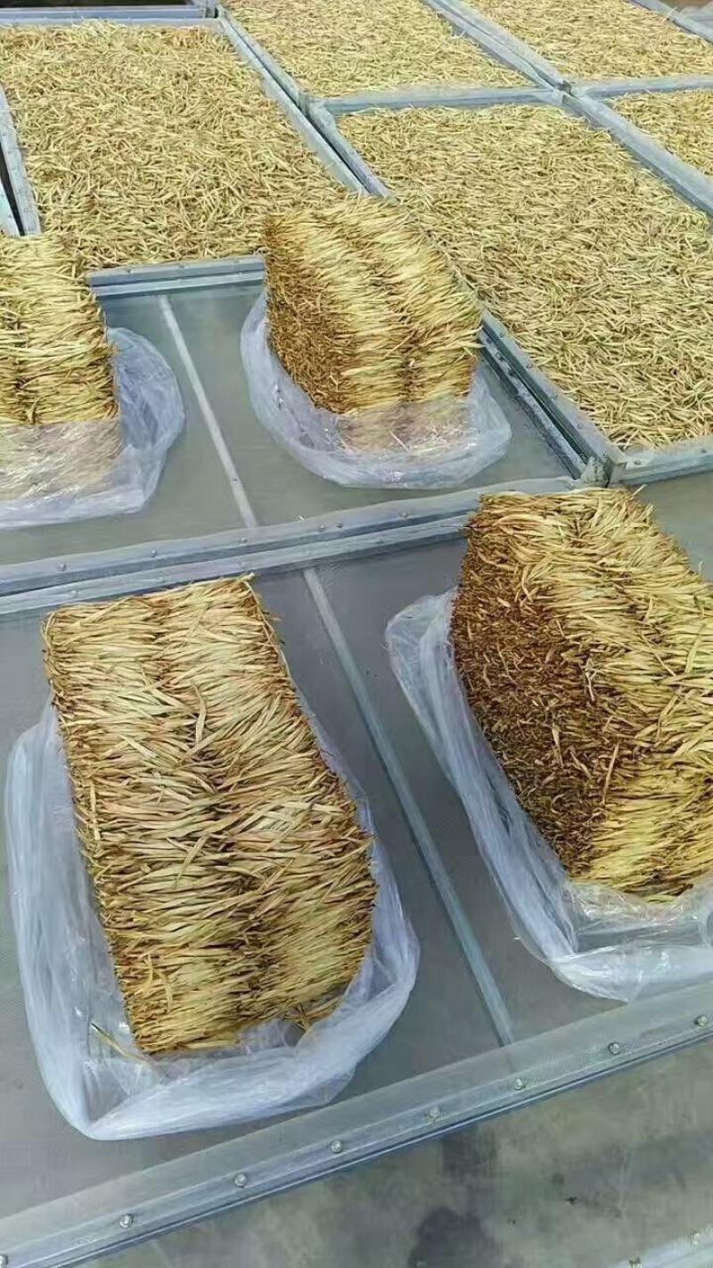 宁夏富硒优质大白条黄花菜