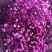 【满天星】鲜切花白色彩色齐全昆明鲜花基地直批新鲜包邮到家