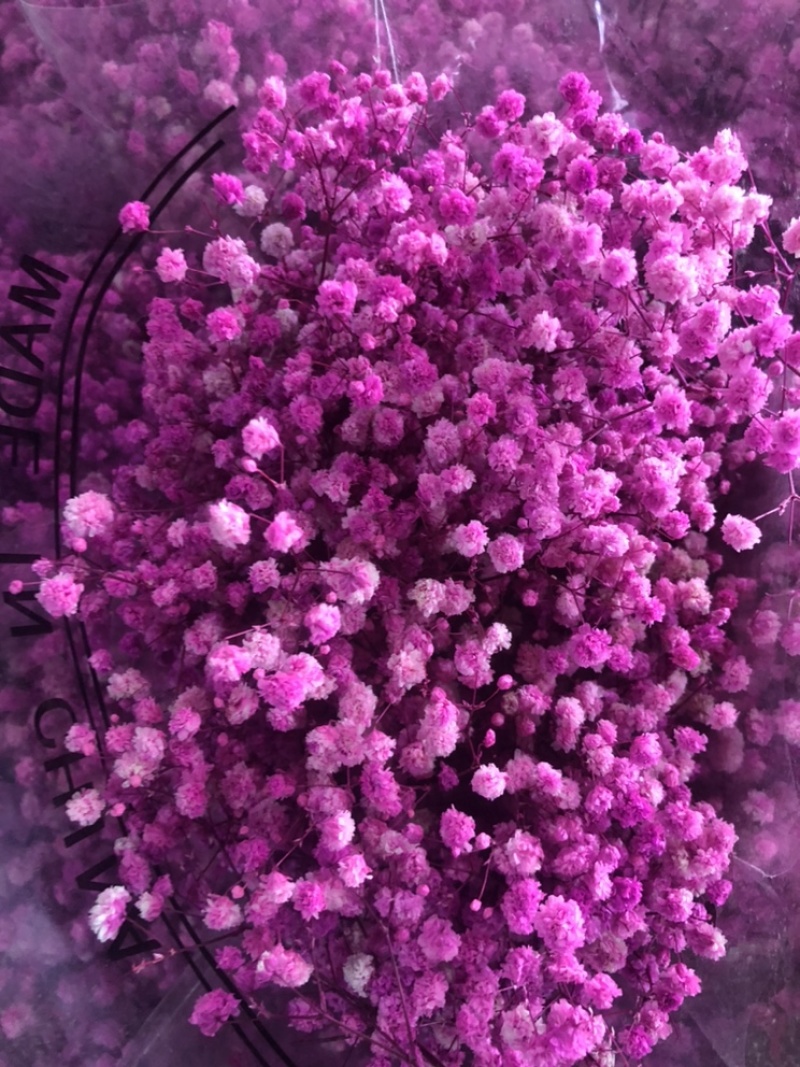 【满天星】鲜切花白色彩色齐全昆明鲜花基地直批新鲜包邮到家