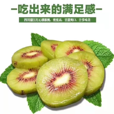 蒲江红心猕猴桃市场货7-99-11