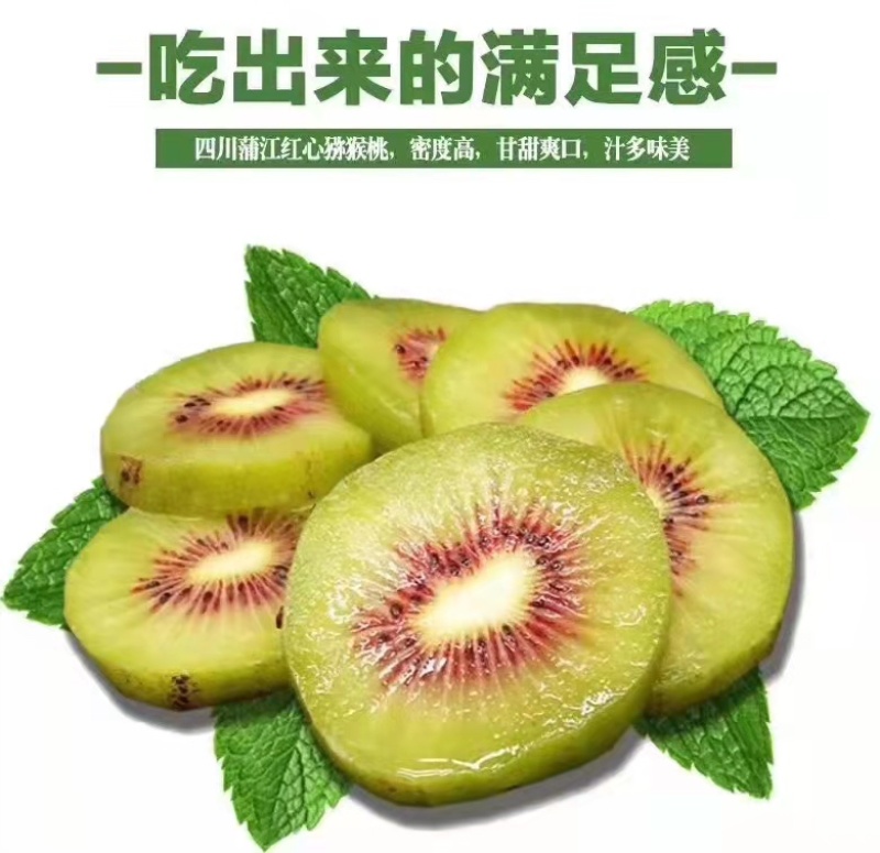 蒲江红心猕猴桃市场货7-99-11