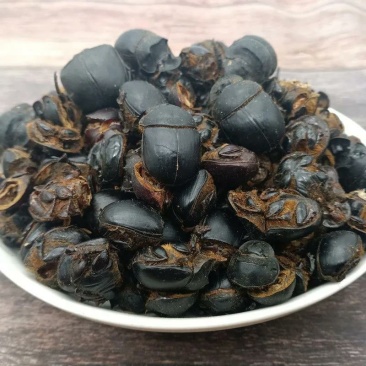 蜣螂干货干净无杂质量大从优欢迎选购！